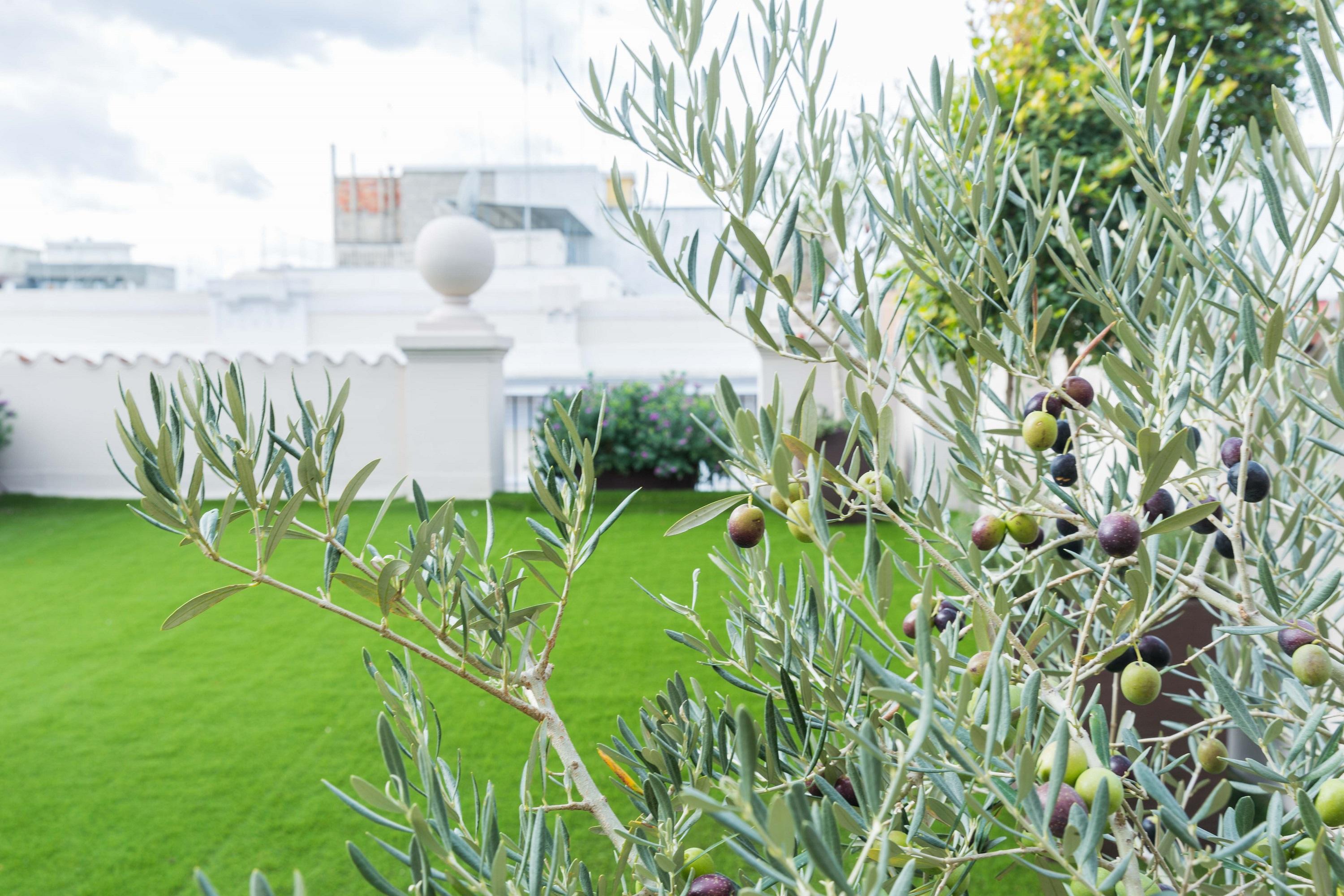 200 Rooms & Terrace Μπάρι Εξωτερικό φωτογραφία